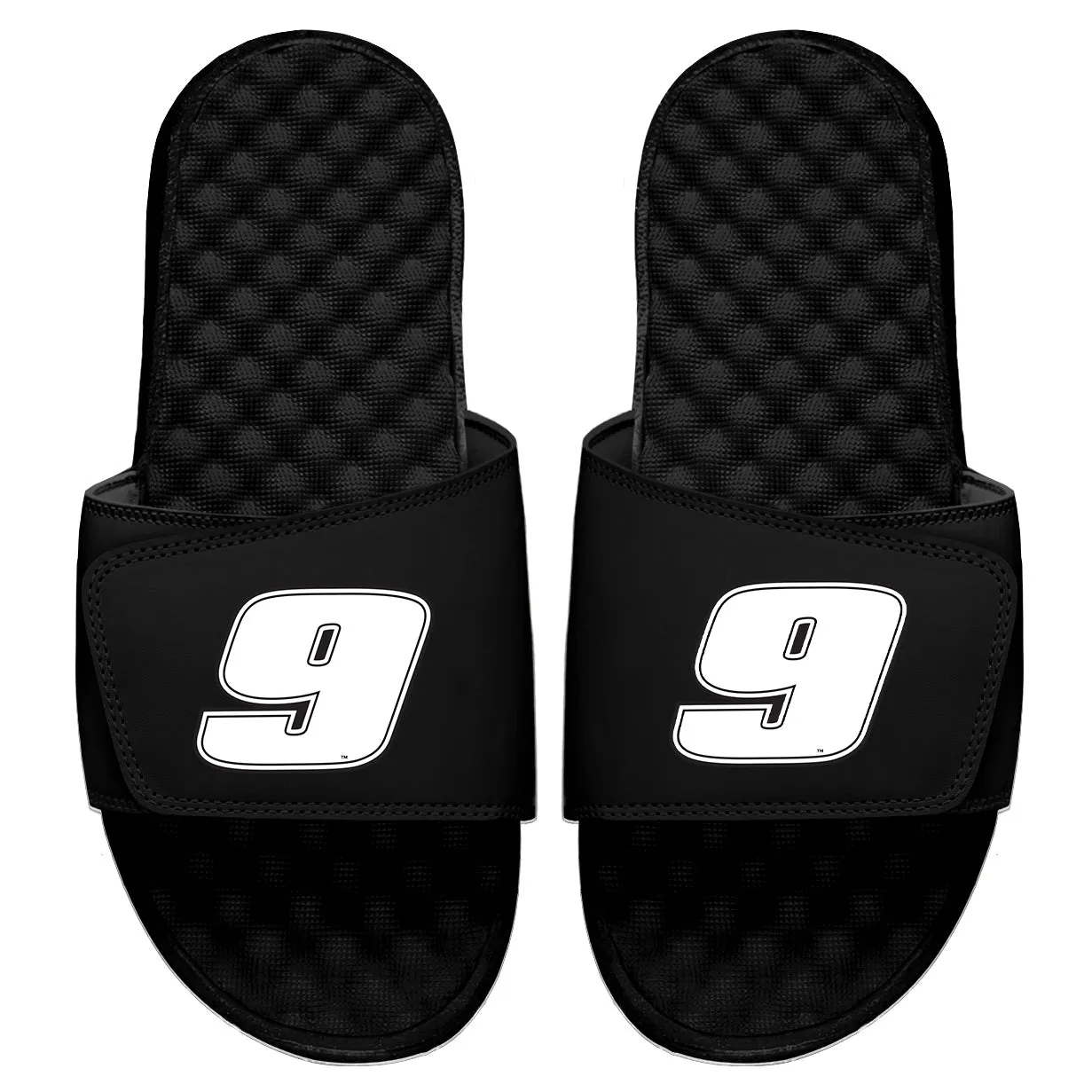 Chase Elliott 9 Slides