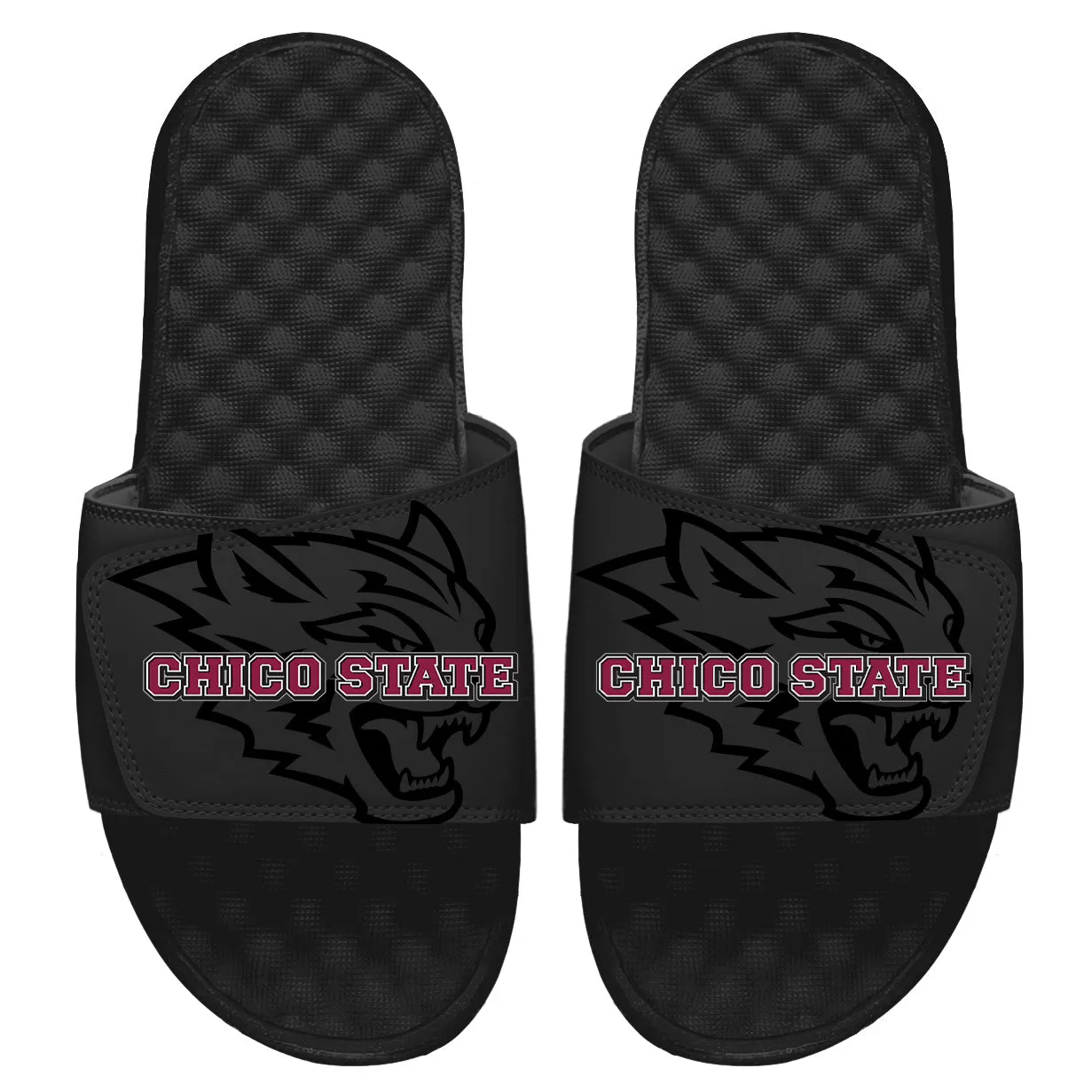 Chico State Tonal Pop Slides