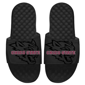 Chico State Tonal Pop Slides