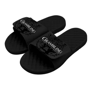 Grambling State Tonal Pop Slides