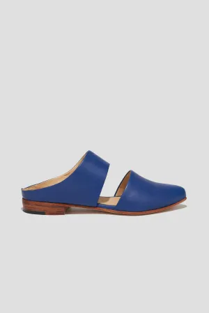 Mule in Cobalt