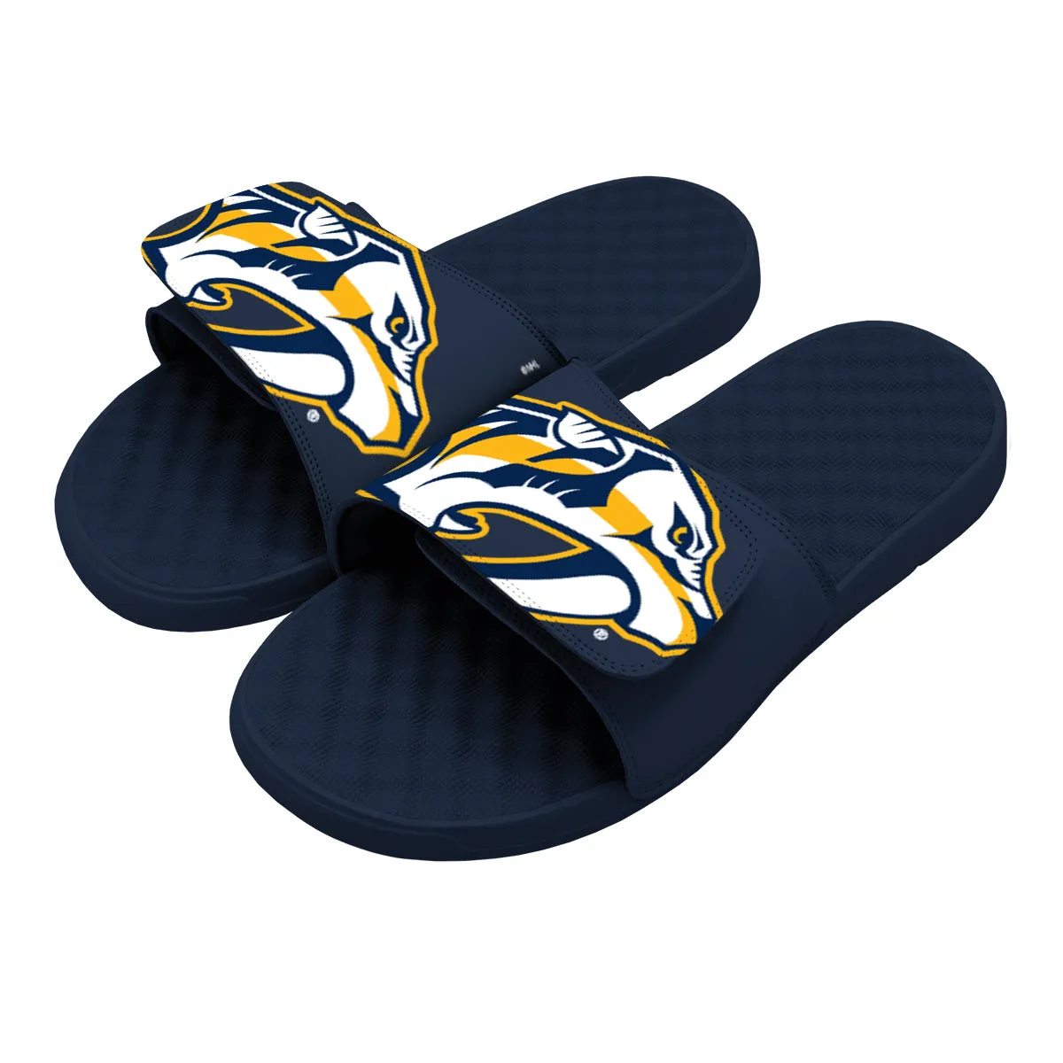 Nashville Predators Blown Up Slides