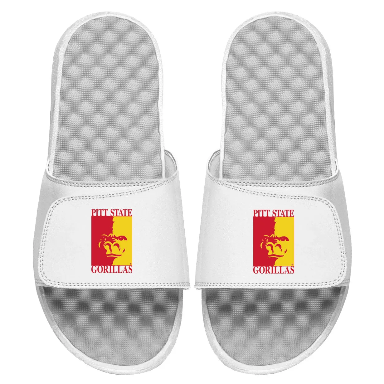 Pitt State Alternate Slides