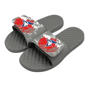 Toronto Blue Jays Canadian Flag Slides