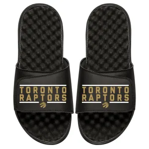 Toronto Raptors Bar Logo Slides